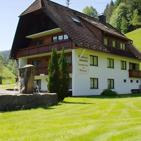 Gaestehaus Absbachtal Bad Rippoldsau-Schapbach Exteriér fotografie