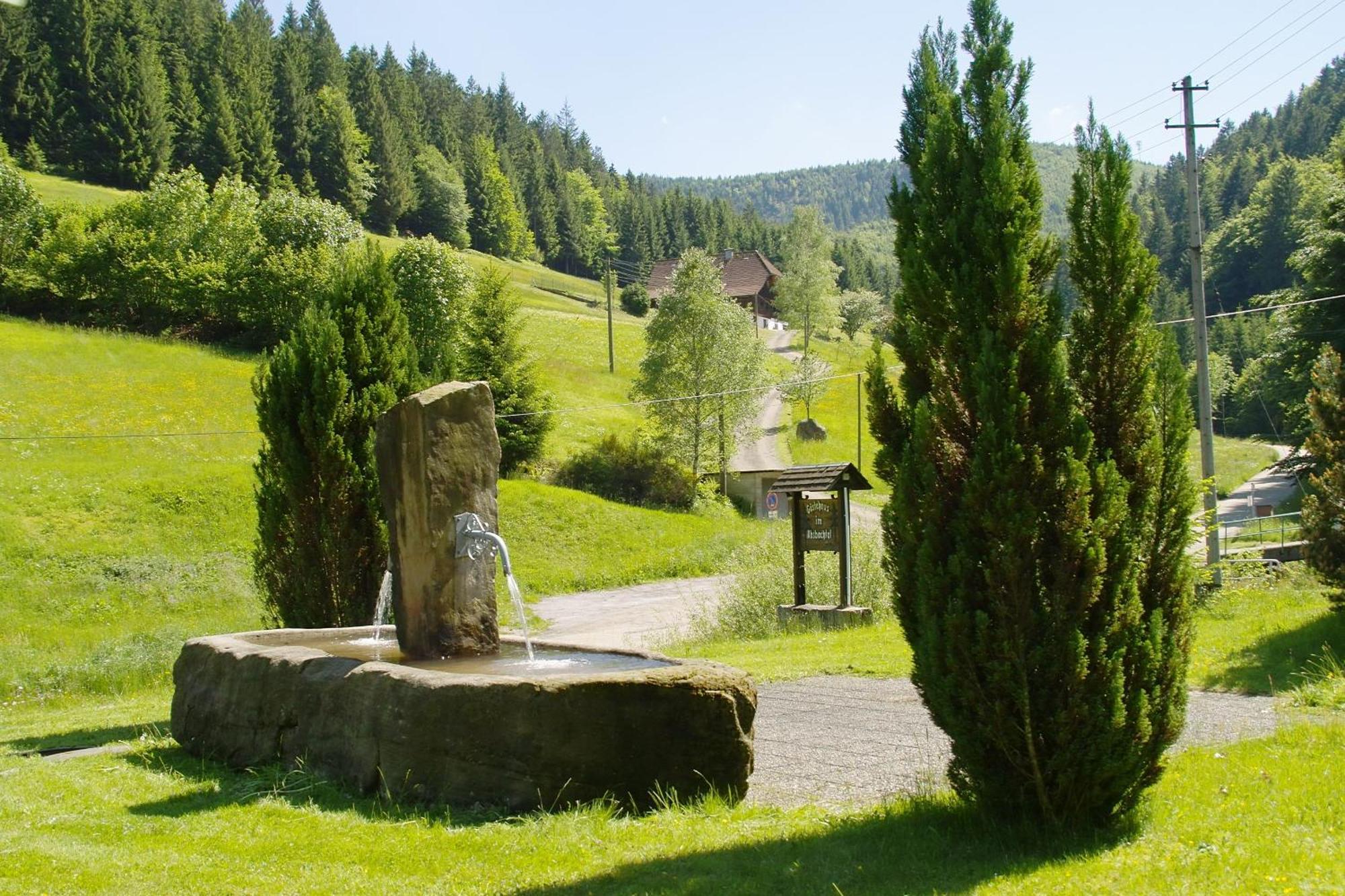 Gaestehaus Absbachtal Bad Rippoldsau-Schapbach Exteriér fotografie
