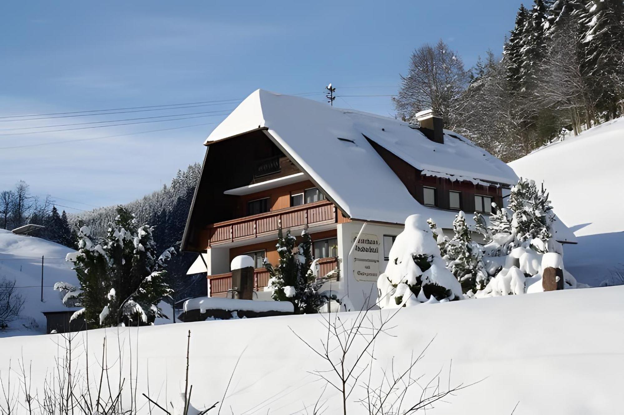 Gaestehaus Absbachtal Bad Rippoldsau-Schapbach Exteriér fotografie