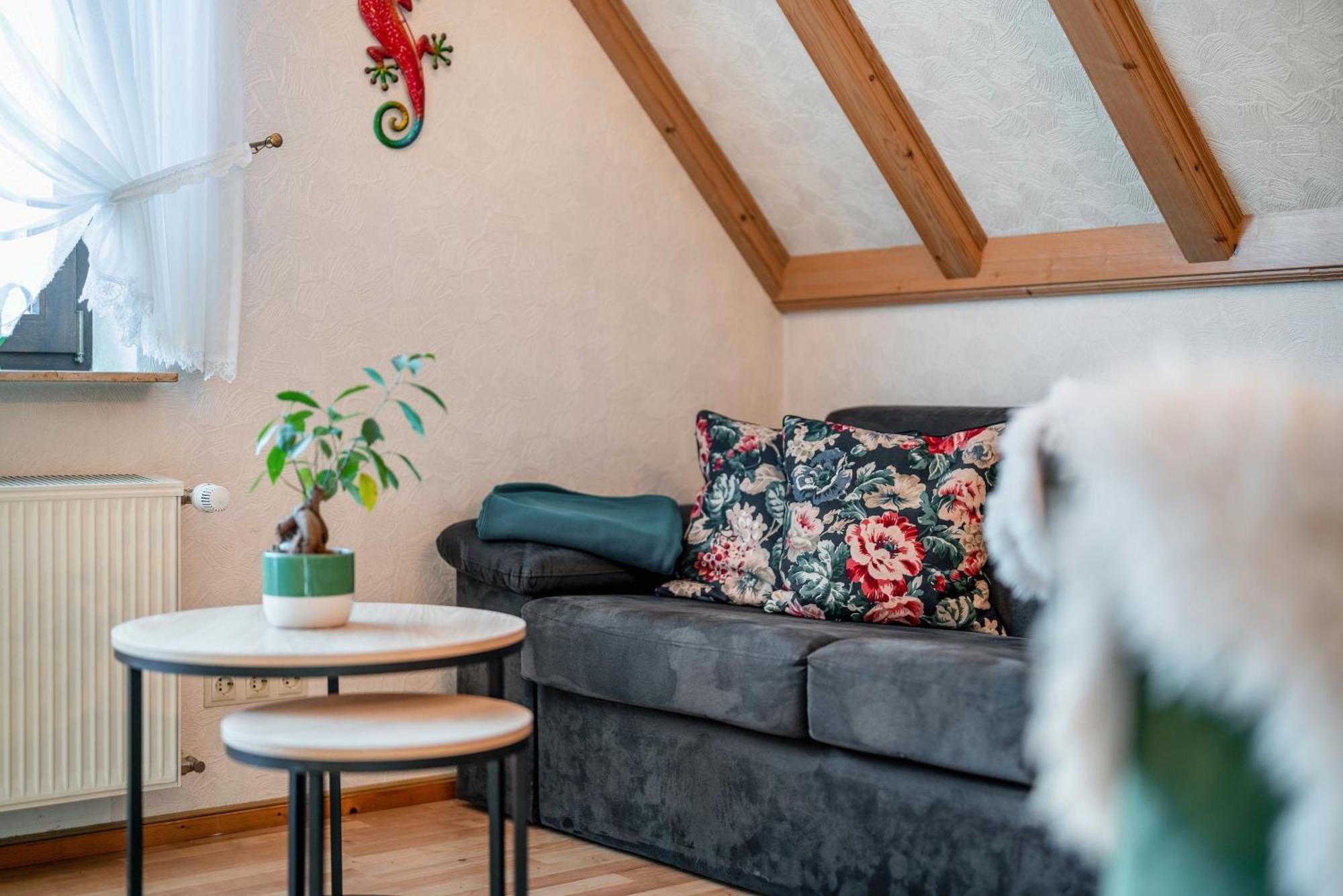 Gaestehaus Absbachtal Bad Rippoldsau-Schapbach Exteriér fotografie